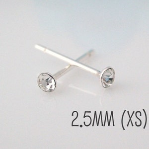 May include: A pair of silver nose studs with clear crystal rhinestones. The studs are 2.5 mm in size and are labeled "XS".