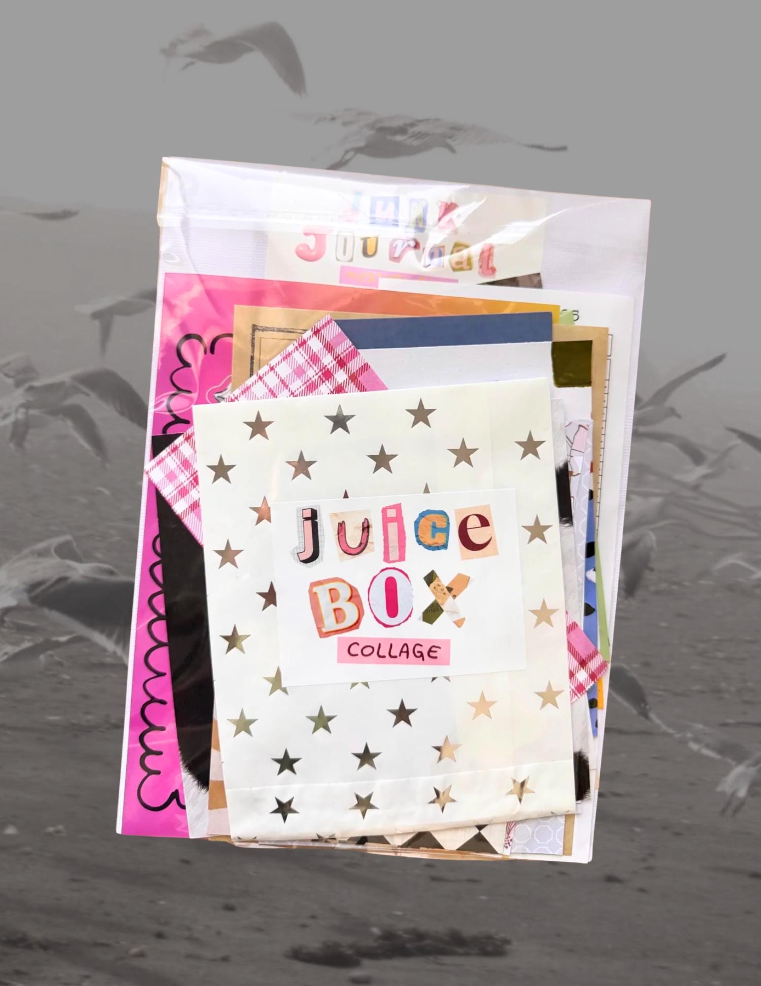 Viral Mystery Junk Journal Pack – A5 Mystery Ephemera Kit for Junk Journal, Scrapbook & Perfect for Beginners! Most Requested! 5 STARS!!