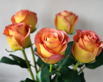 May include: A bouquet of five roses with a gradient of colors. The petals transition from yellow at the base to orange and pink at the edges. Green stems and leaves are visible.