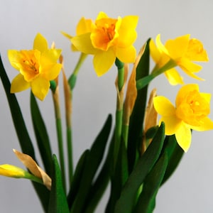 Yellow mini daffodils in pot, Cold porcelain narcissus flowers, Polymer clay flower, Cute gift for Her, Real touch small daffodils