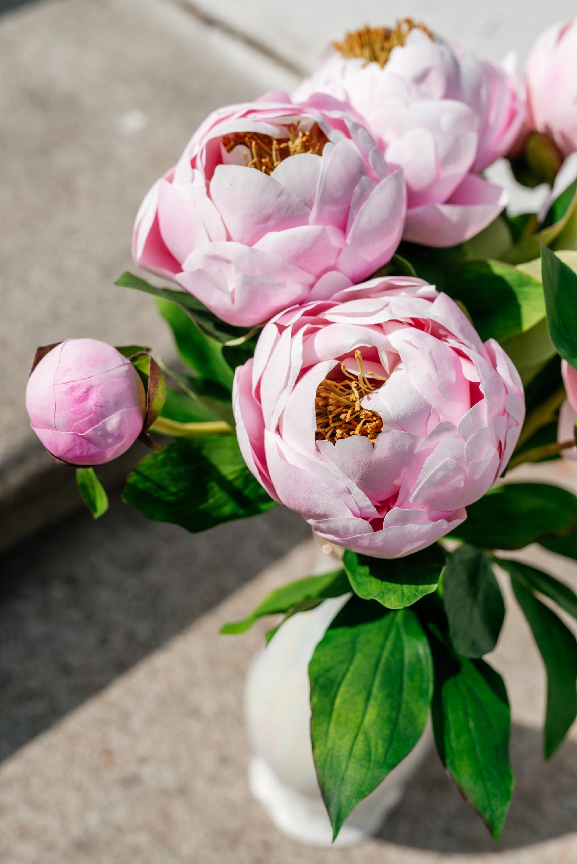 Clay pink peony