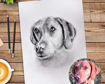 Custom Charcoal Pet Portrait, Hand Drawn Dog or Cat Illustration