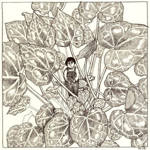 Originalzeichnung - Blätter von Cyclamen