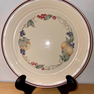 May include: A round, off-white ceramic plate with a fruit design. The plate features a border with a thin red and blue stripe. The center of the plate has a decorative wreath of green leaves, red berries, and yellow fruit.
