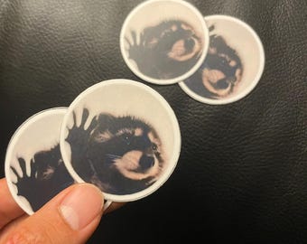 Pedro Raccoon Sticker 2" x 2" Matte