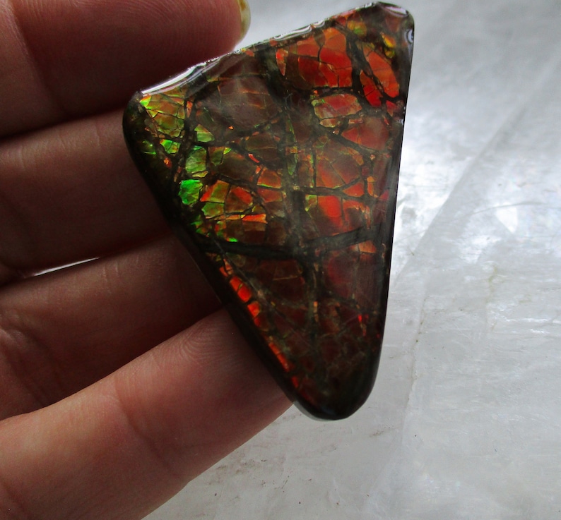 Ammolite Triangle Cabochon with vibrant color and dragon skin pattern