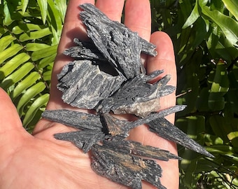 Black Kyanite Crystal Blades (15 Pieces): Natural Healing Stones