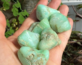 Large Tumbled Chrysoprase, Set of Two