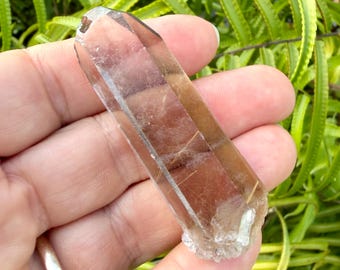 Natural Smoky Rutilated Quartz Crystal — 2.25 Inches — Golden Rutile