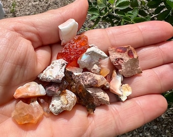Mexican Fire Opal, Set of 21 Small Opals