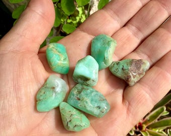 Set of 7 Tumbled Chrysoprase Stones — 24 grams