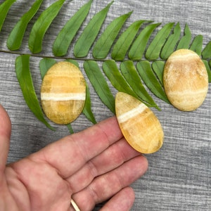 May include: Three yellow calcite palm stones with white banding. The stones are smooth and polished. They are arranged on a gray wooden surface with a green fern leaf.