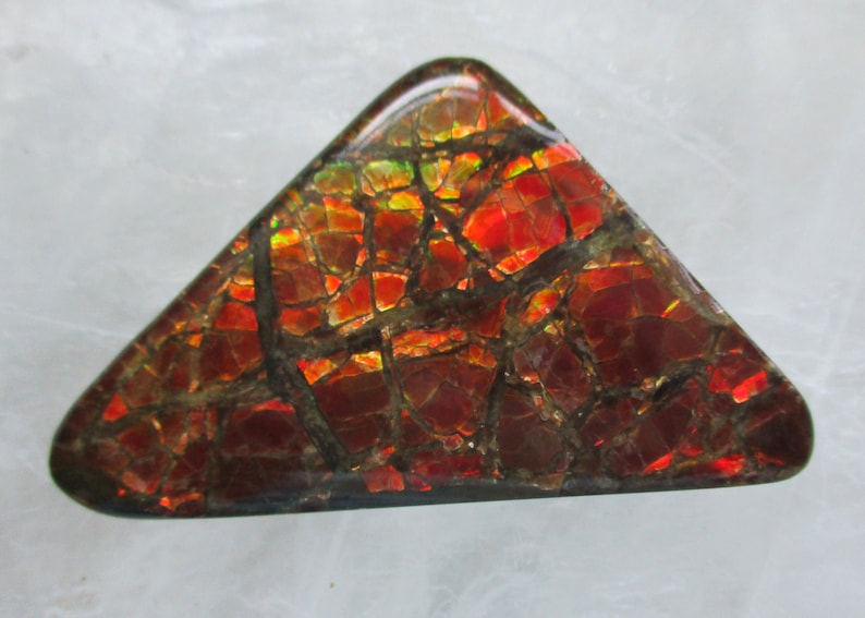 Ammolite Triangle Cabochon with vibrant color and dragon skin pattern