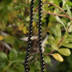 May include: A black beaded necklace with a silver clasp hanging from a green leafy branch.
