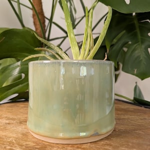 May include: A light green ceramic plant pot with a glossy finish. The pot has a slightly flared shape and sits on a natural, unglazed base. Aloe vera plants are visible inside the pot, with green leaves.