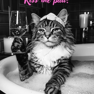 Whimsical Cat Greeting Card Set: Playful Animal Lover Stationery