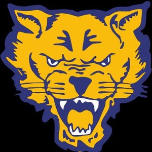 May include: A fierce cougar head logo in yellow and blue against a black background. The cougar is snarling, with its mouth open, teeth bared, and eyes narrowed. The design is bold and graphic, suitable for sports or team merchandise.