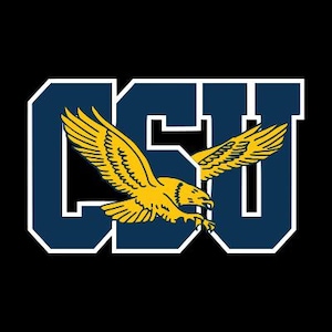 May include: A navy blue and white logo with the letters "CSU" and a yellow eagle with outstretched wings. The eagle is in flight, and the logo is set against a black background.