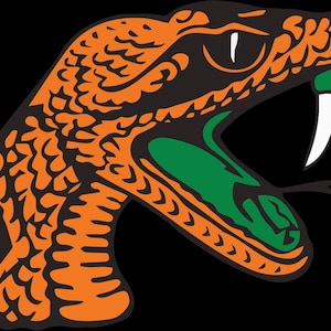 Florida A & M SVG