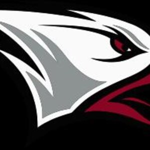 May include: A stylized eagle head logo in white, gray, and maroon against a black background. The eagle's eye is a deep maroon, with sharp, angular details. The design is bold and graphic, suitable for sports or team branding.