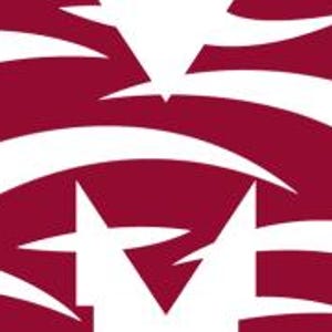 May include: A maroon letter M with a white star and stylized white lines forming a pattern inside the letter.