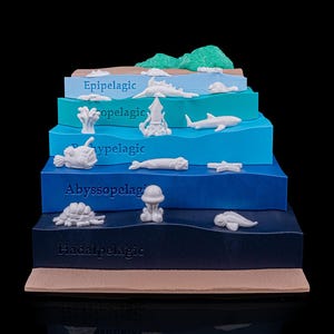 May include: A layered model of the ocean depths, featuring various zones labeled Epipelagic, Mesopelagic, Bathypelagic, Abyssopelagic, and Hadalpelagic. Each layer is a different shade of blue, with white sea creatures and green land masses.