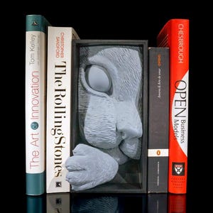 Cat&#39;s Curiosity Book Nook 3D Printed Unique Bookshelf Decor  Realistic Cat Scene for Home Library Gifts for Cat Lovers Gift for Her