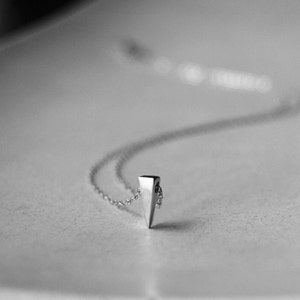 Può includere: Una collana d'argento con un ciondolo triangolare. Il ciondolo è una forma geometrica semplice con una punta affilata.