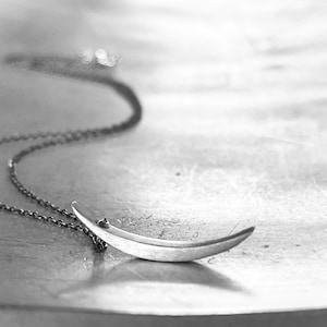 Crescent Moon Necklace - Earthshine - in Sterling Silver, Oxidized Black or 10k Gold.