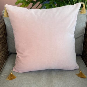 Custom throw pillow. Soft pink velvet with gold tassels and beads. hidden zipper. Measures 18” x 18”. Luxury fabric. Pale pink throw pillow