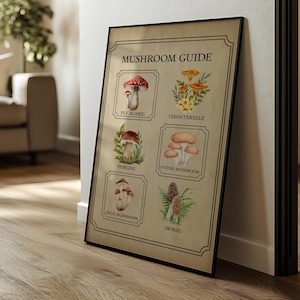 Vintage Pilz Wandkunst, Botanisches Pilz Poster, Pilzpädagogik, Cottagecore Naturdruck, Pilzidentifikationskarte
