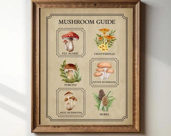 Vintage Mushroom Identification Chart | Cottagecore Fungi Printable, Educational Classroom Guide