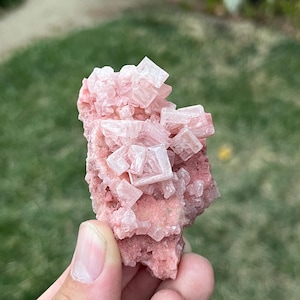 May include: A raw mineral specimen featuring clusters of pale pink, translucent, cubic crystals growing on a textured, dusty rose-colored matrix. The crystalline structure displays sharp, geometric edges and a layered, crystalline formation.