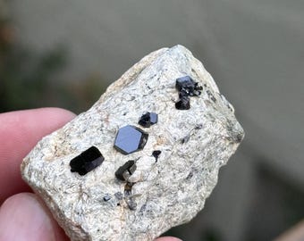 Melanite Garnet - San Benito County CA