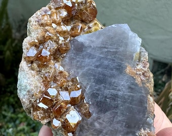 Può includere: Un esemplare minerale caratterizzato da un gruppo di cristalli di granato traslucidi color ambra attaccati a una grande matrice di quarzo liscia di colore grigio-viola. I cristalli di granato presentano sfaccettature geometriche e lucide.