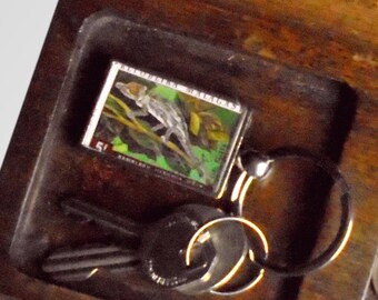 Male Bignose Chameleon Keyring, made with real 1973 postage stamp from Madagascar