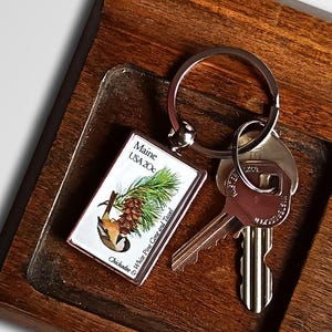 May include: A wooden key and coin tray with a dark brown finish. The tray contains keys, a keychain with a Maine USA 20c design, and various coins. The keychain features a pine cone and text. The tray is rectangular in shape.