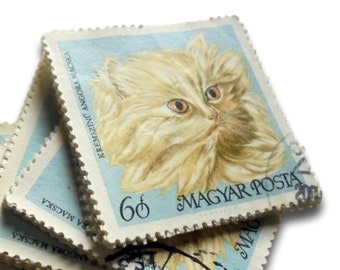 Persian Cat on Pale Blue - Square Vintage Postage Stamps - Hungary 1968