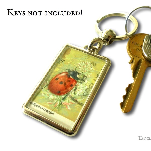 Lucky Ladybird Keyring - Upcycled British postage stamp | seven spotted ladybug keychain | Nature lover gift, unique 1985 birthday gift