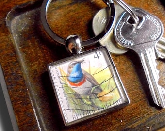 Bluethroat Keyring - upcycled Belgium bird definitive stamp from 1992