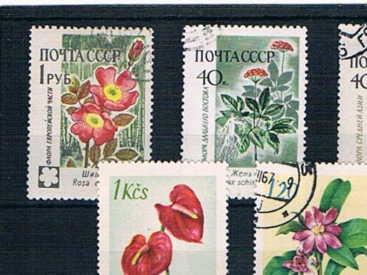 Vintage Flower Postage Stamps, 1960s flower stamps from Russia &  Czechoslovakia