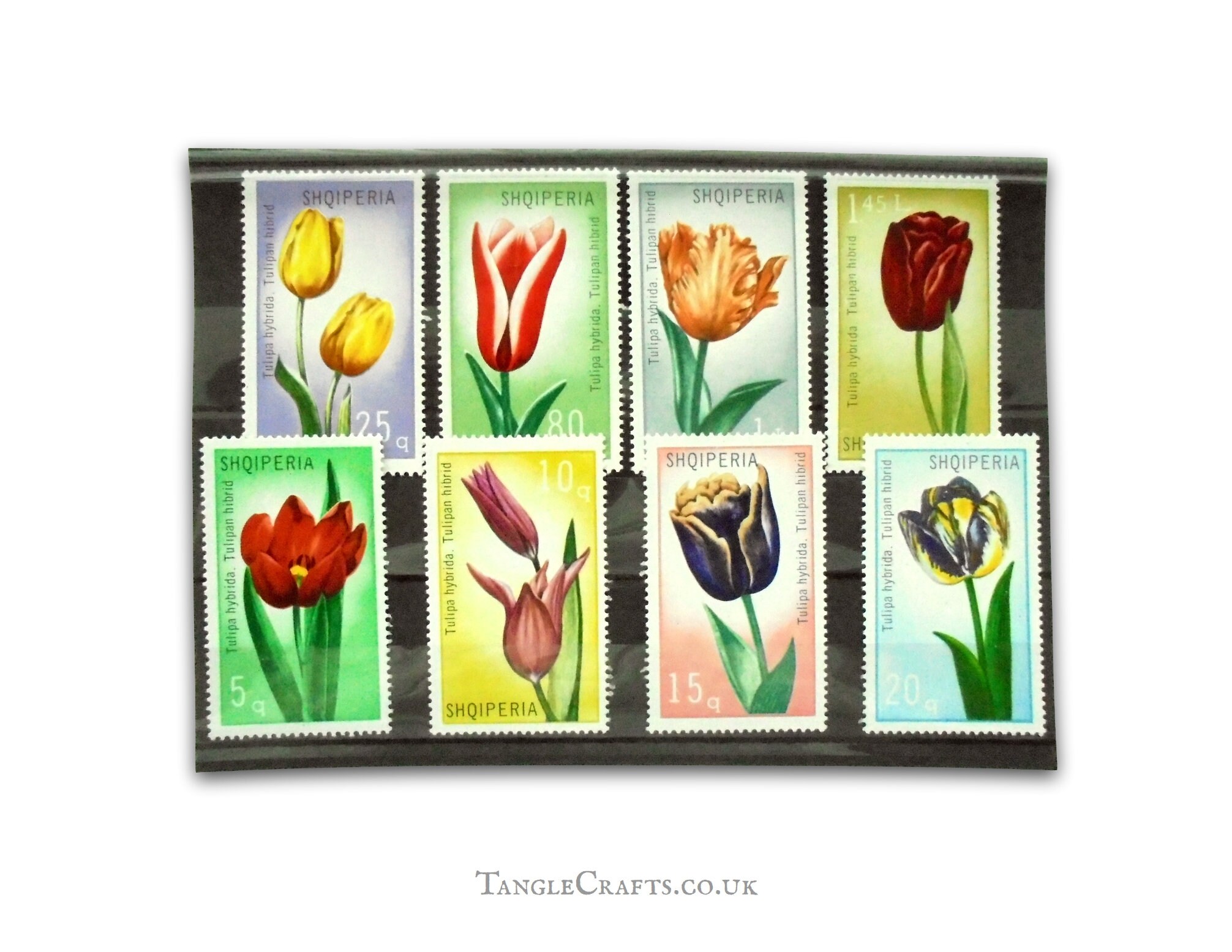 Tulips on Postage Stamps, Colourful Flower Stamps, floral postal stamp  card toppers for craft