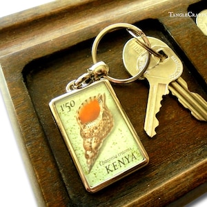 May include: A silver keychain with a rectangular charm featuring a colorful illustration of a seashell and the text "1'50 Charonia tritonis KENYA".