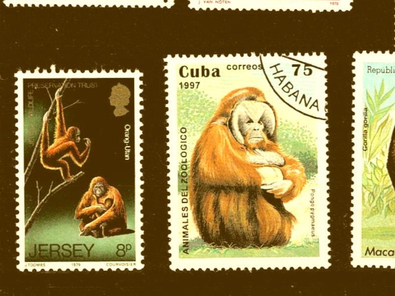 Great Ape Postage Stamp Selection - Gorilla, orangutan, monkey, chimpanzee Great Ape Postage Stamp Selection - Gorilla, orangutan, monkey, chimpanzee