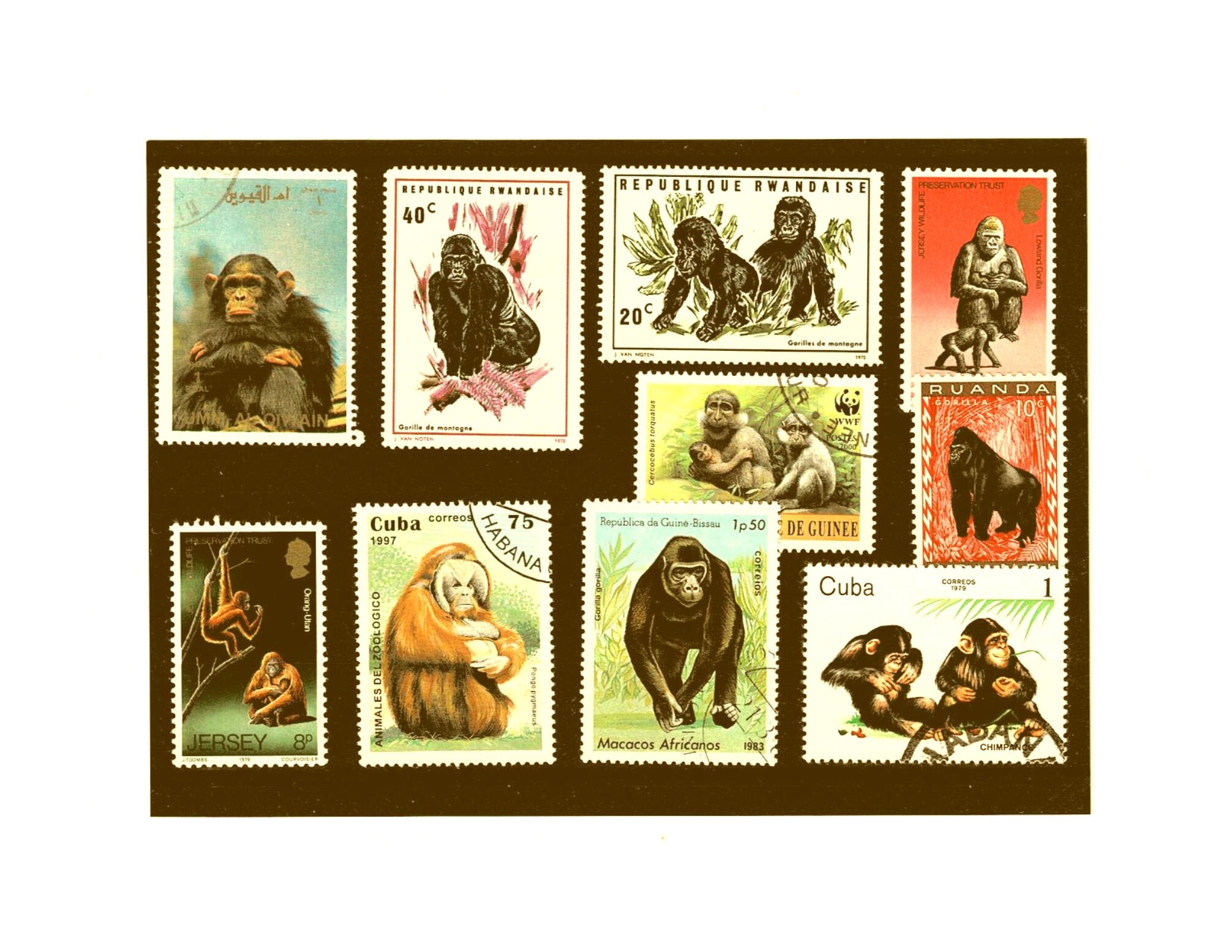 Great Ape Postage Stamp Selection - Gorilla, orangutan, monkey, chimpanzee Great Ape Postage Stamp Selection - Gorilla, orangutan, monkey, chimpanzee