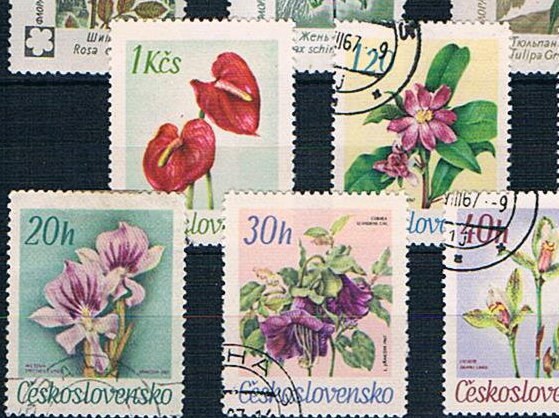 Vintage Flower Postage Stamps, 1960s flower stamps from Russia &  Czechoslovakia