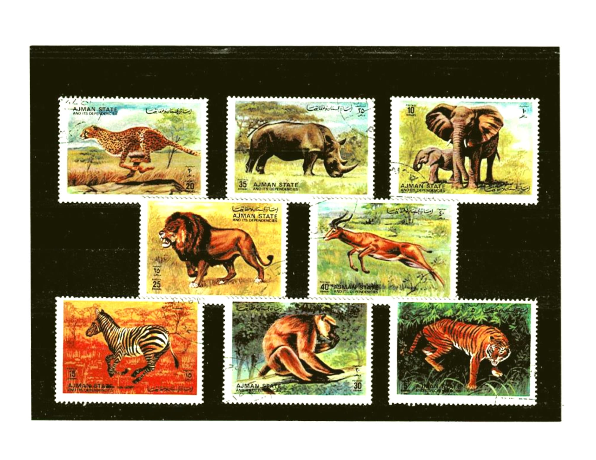 Wild Animal Postage Stamps, Lion, Zebra, Tiger, Elephant Stunning Safari  Wildlife Motifs, Ajman 1972 Set Topical Thematic Postal Stamps 