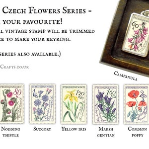 Flowers & Medicinal Plants Keyring choice of vintage botanical designs Floral postage stamp keychain campanula cornflower gentian iris image 2