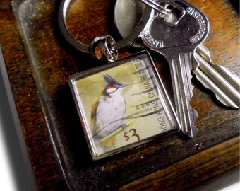 Bulbul Keyring - upcycled Hong Kong postage stamp from 2006