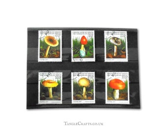 Mushrooms on postage stamps - Benin 1997 complete set